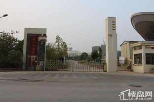 南寧華凱逸悅豪庭深度解讀 實(shí)景交付力與樣板間細(xì)節(jié)全覽